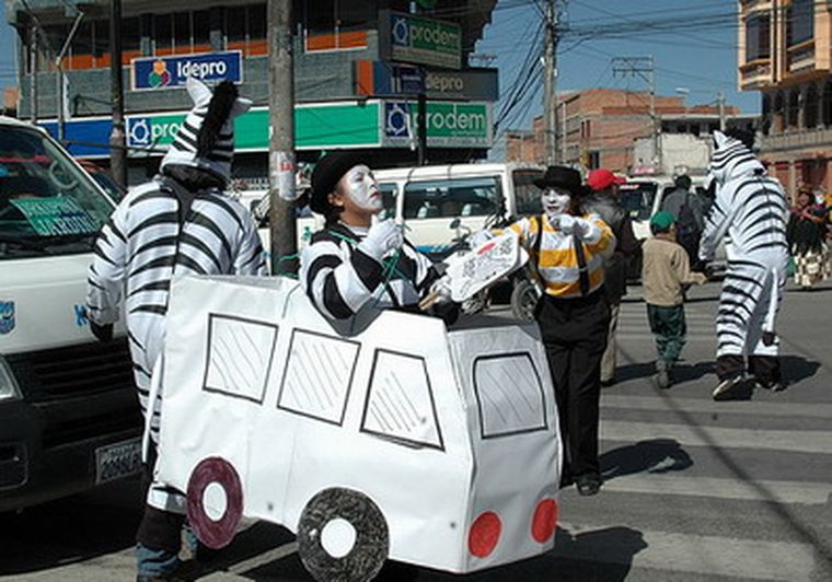 Las cebras en acción.
