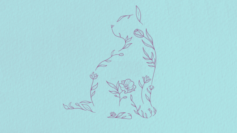 Test de personalidad