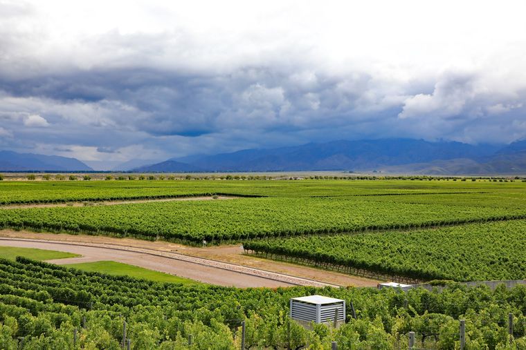 Las precipitaciones avanzarán sobre distintos sectores de Mendoza, con posibilidad de nieve en zonas de precordillera y el Valle de Uco. Las precipitaciones avanzarán sobre distintos sectores de Mendoza, con posibilidad de nieve en zonas de precordillera y el Valle de Uco.