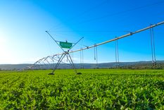 Cuando se combina con herramientas de monitoreo y análisis de datos, el riego pasa a contribuir a una gestión más eficiente de los recursos de la propiedad.