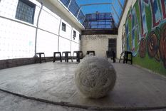 El Gobierno nacional pretende bajar la edad de imputabilidad en Argentina Foto: ALF PONCE MERCADO / MDZ