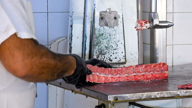 Ante la caída del poder adquisitivo, los consumidores ajustan por precio su consumo de carne. Foto: Santiago Tagua/MDZ