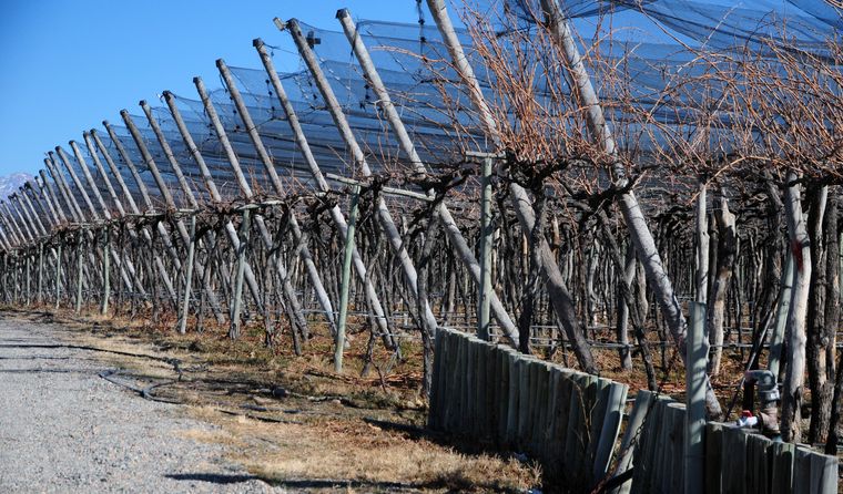 El Gobierno lanza la adhesión para el Fondo Compensador Agrícola destinado a productores.&nbsp;