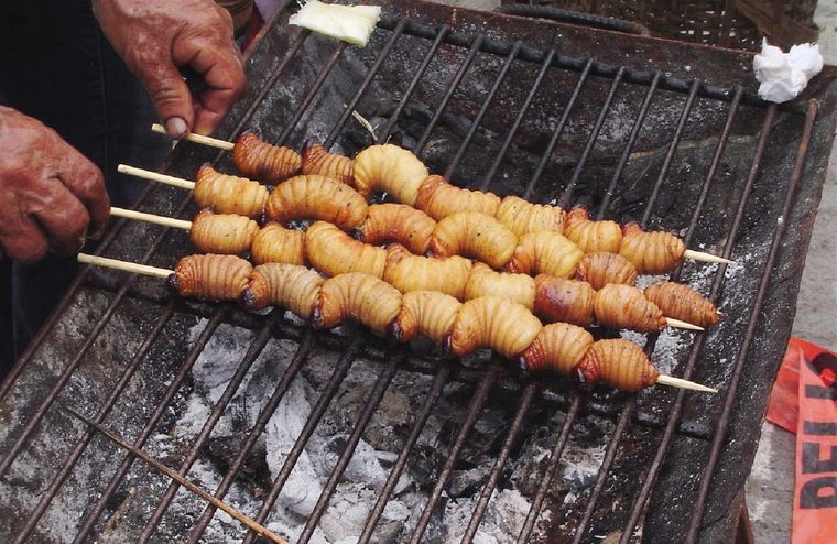 Puede ser algo impresionante, pero insectos a la parrilla es actualmente un plato muy solicitado dentro de la entomofagia.