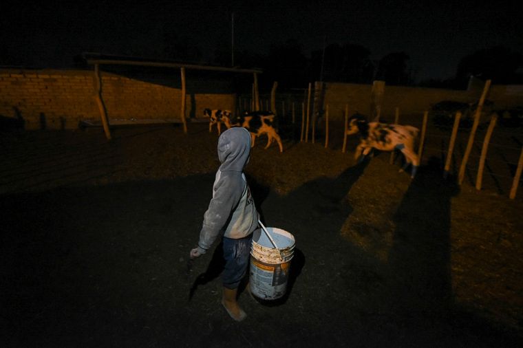 Dylan a punto de alimentar a los terneros del tambo Foto: Juan Ignacio Blanco/MDZ