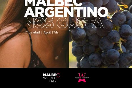 El mes del Malbec se festejará en el mundo. Foto: Wines of Argentina