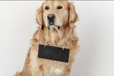 Los nombres de series, películas y redes sociales inspiraron muchas de las elecciones. Foto: Archivo Los nombres de series, películas y redes sociales inspiraron muchas de las elecciones. Foto: Archivo