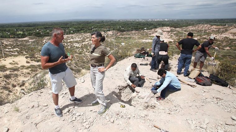 El hallazgo se dio en el campus de la Universidad del Comahue en Neuquén