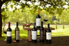 los vinos  alternativos de argentina con mejor puntuacion