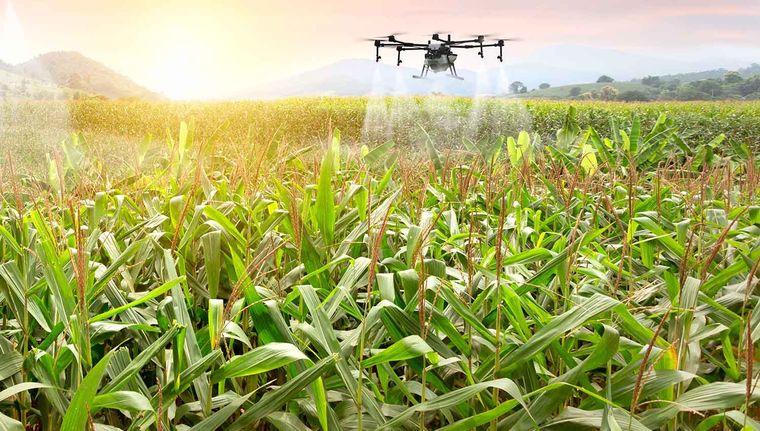 La experiencia tecnológica y el enfoque sostenible son pilares clave en la inserción de los servicios tecnológicos locales de cara al mercado europeo. Foto: Shutterstock