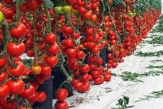 Una técnica muy interesante.