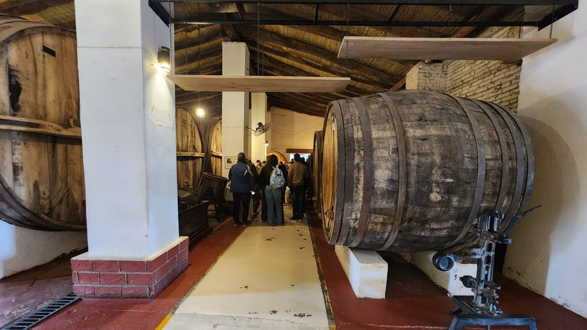 Así es la ruta del vino en Cafayate que integran 40 productores vitivinícolas