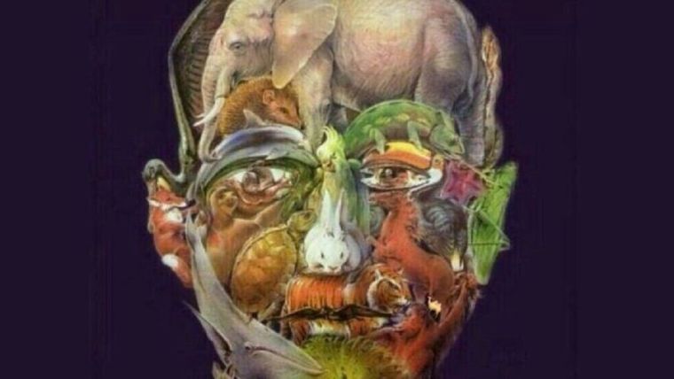 ACERTIJO VISUAL ACERTIJO VISUAL, RETO VISUAL, CAMELLO. Foto: ARCHIVO