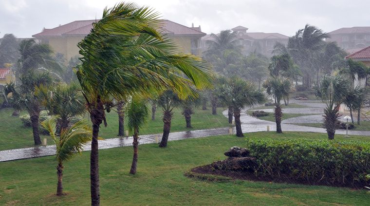 El SMN advirtió que las ráfagas podrán alcanzar los 75 km/h en distintas provincias del país. El SMN advirtió que las ráfagas podrán alcanzar los 75 km/h en distintas provincias del país.