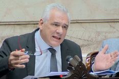 Carbajal presiona a LLA y al PRO para tratar en comisiones su proyecto de Ficha Limpia Foto: Captura de video