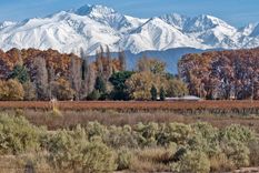 la noche de las casas de provincia: recorrer el pais en una noche y sin moverte de buenos aires