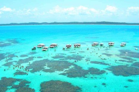 Las piscinas naturales de Maragogi son el principal atractivo de esta playa del nordeste de Brasil. Las piscinas naturales de Maragogi son el principal atractivo de esta playa del nordeste de Brasil.