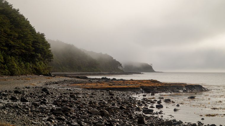 Chile late en estado salvaje en Cabo Froward, al fin del continente. &nbsp;