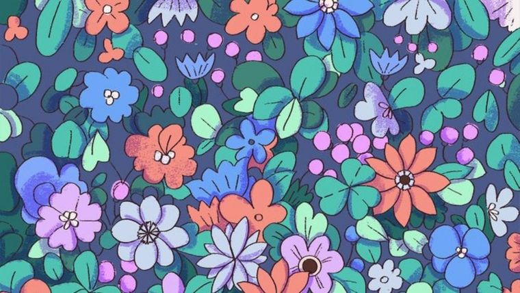 acertijo visual Pinterest