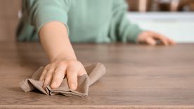 Las empleadas domésticas y la actualización de mayo.