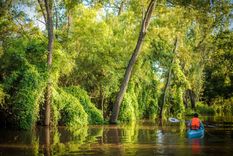 Esta joya de la naturaleza protege uno de los humedales más grandes del Norte Foto: Ruta Natural