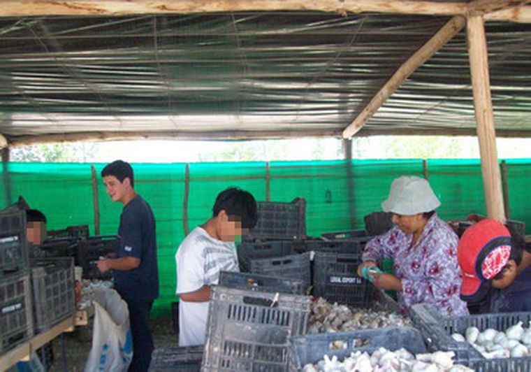 En Mendoza hay muchos niños que trabajan. Foto: Gentileza