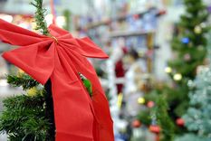 La gente ya comenzó a hacer sus compras navideñas y la Ciudad se prepara. Foto: Marcelo Ruiz / MDZ