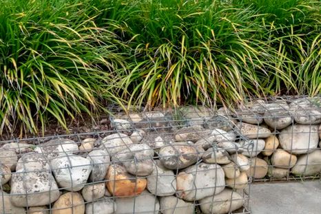 Dispersar el viento con cestas rellenas con alambre. Foto: Gentileza Svetlana Zhukova (AlamyI