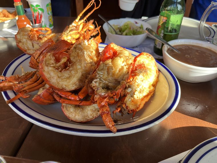 Langosta del Pacífico