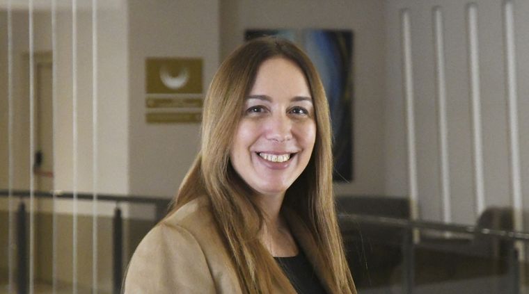 Vidal presentó un proyecto de ley tras el escándalo en el Senado Foto: Rodrigo DAngelo / MDZ