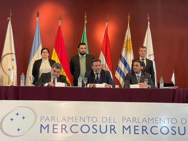 Foto: Twitter Parlamento Mercosur