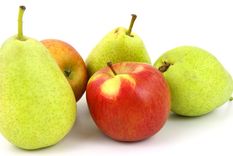 exportadores piden no pagar derechos de exportacion