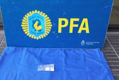 La cocaína secuestrada Foto: Policía Federal