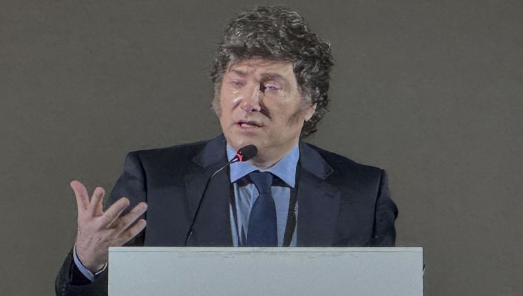 Javier Milei propone eliminar las PASO Foto: EFE