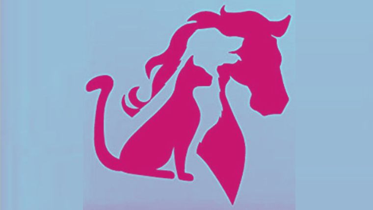 Test de personalidad