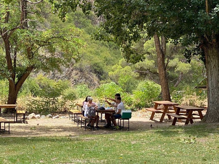En Vaquerías hay sectores destinados para hacer picnic. En Vaquerías hay sectores destinados para hacer picnic.