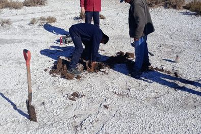 MDZol | Las Salinas de Angaco presentan gran potencial por la múltiple manifestación de presencia de litio en el lugar.