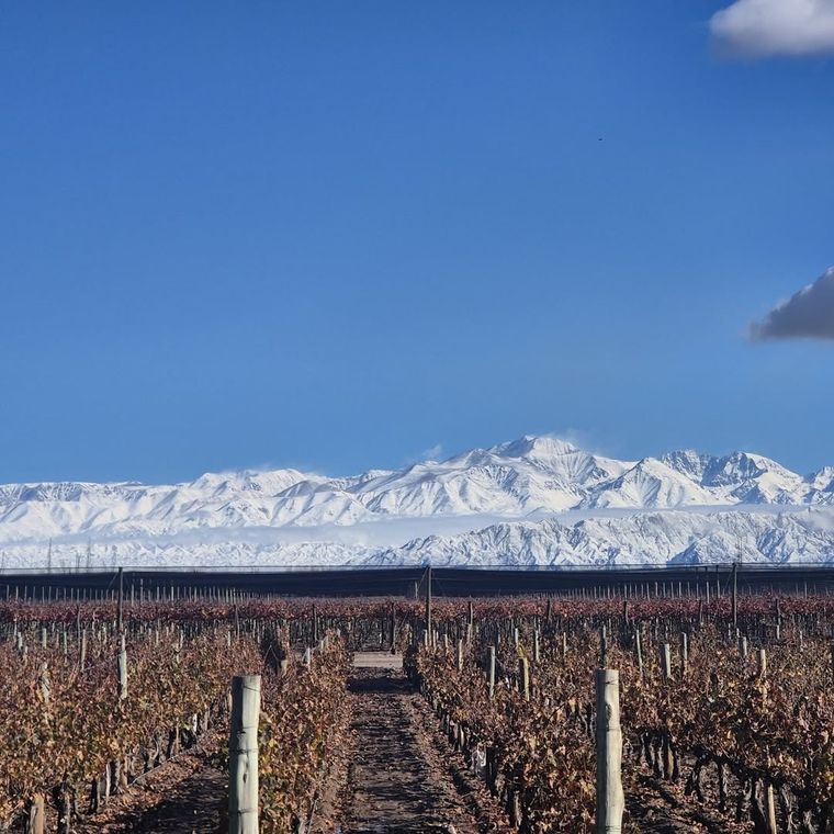 Foto: @bodeganorton Foto: @bodeganorton
