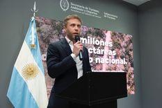 El titular de Parques Nacionales dejó su cargo y sumó una nueva baja en el Gobierno nacional. Foto: X (@CristianGLarsen)