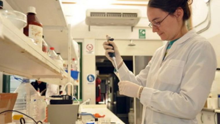 Es necesario celebrar un día internacional de la mujer y la niña en la ciencia. Foto: MDZ