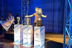 Más de 30 mil personas pudieron fotografiarse con las copas que obtuvo la selección en el último tiempo Foto: X Más de 30 mil personas pudieron fotografiarse con las copas que obtuvo la selección en el último tiempo Foto: X