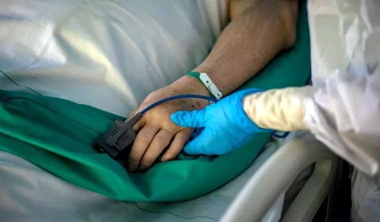 Macron está decidido a que se apruebe el proyecto en Francia. Foto: Efe.