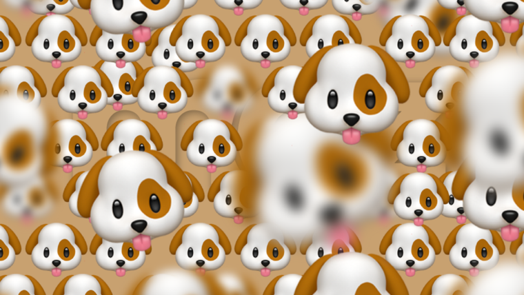 ACERTIJO VISUAL ACERTIJO VISUAL, RETO VISUAL, MONO Foto: MDZ ONLINE