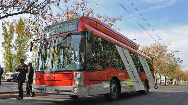 Foto: Pachy Reynoso/MDZ