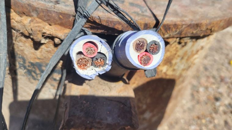 Los vecinos denuncian que la situación se ha vuelto insostenible Los vecinos denuncian que la situación se ha vuelto insostenible Foto: Gentileza