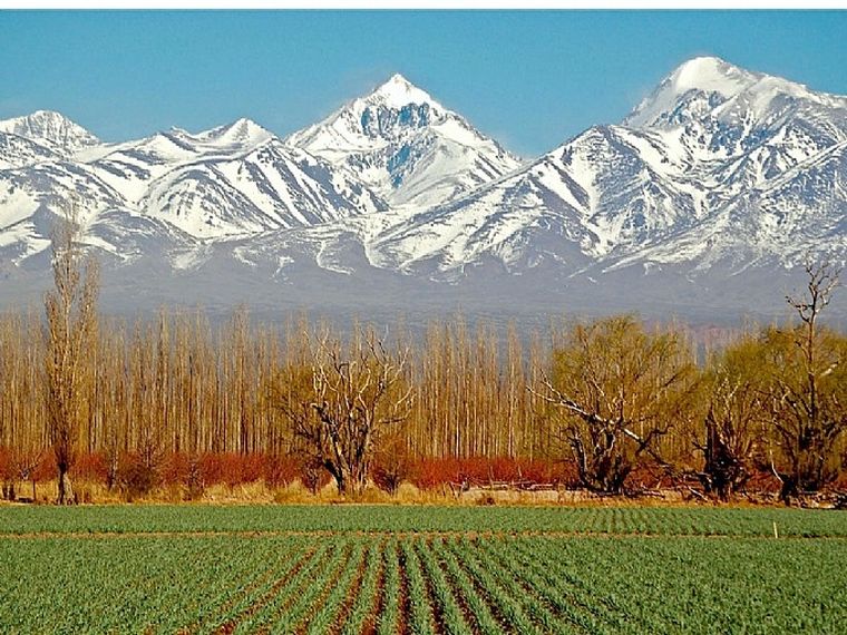 Naturaleza El contexto de la pandemia ha permitido repensar los vínculos con el planeta.