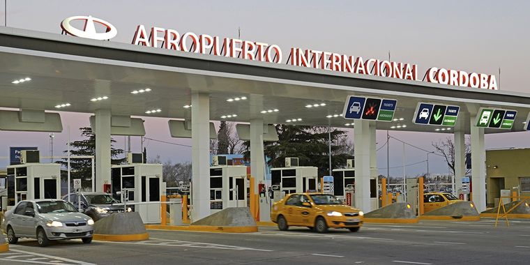 Creen que el animal entró al aeroparque saltando un alambrado junto a una zona boscosa Foto: Ministerio de Transporte de la Nación