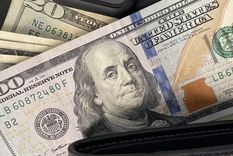 Quien tiene pesos, en billete o en el banco, busca correr rápidamente a comprar dólares para cubrirse de una devaluación Foto: ALF PONCE MERCADO / MDZ