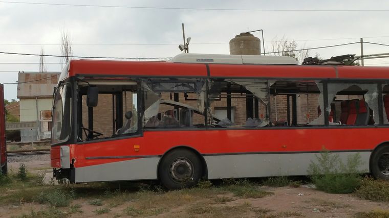 Foto: Gentileza lector MDZ