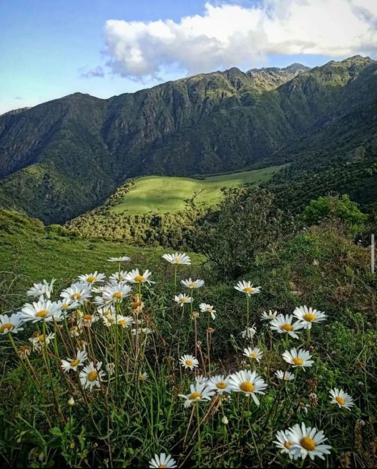 Este paraíso se encuentra en el Norte de Argentina Foto: IG @lasjuntascatamarca